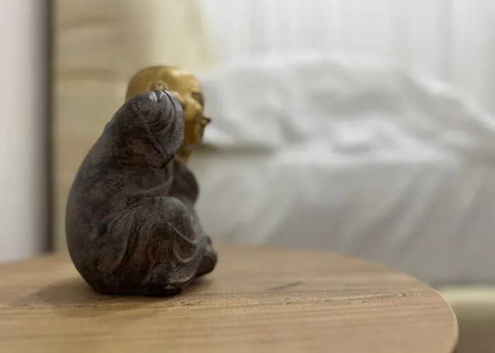 アパート Duomo *